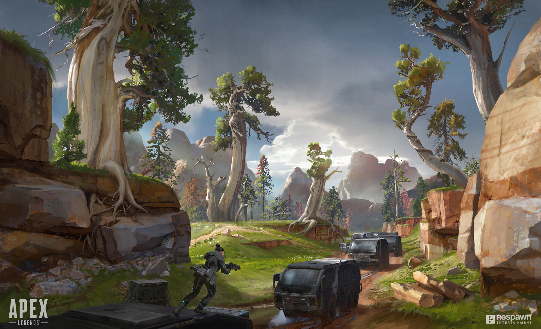 也是体育史 也是体育史